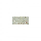 Perle facettee en verre Olive, 6x4 mm a¸ irisee, boite 50 pieces cristal de roche